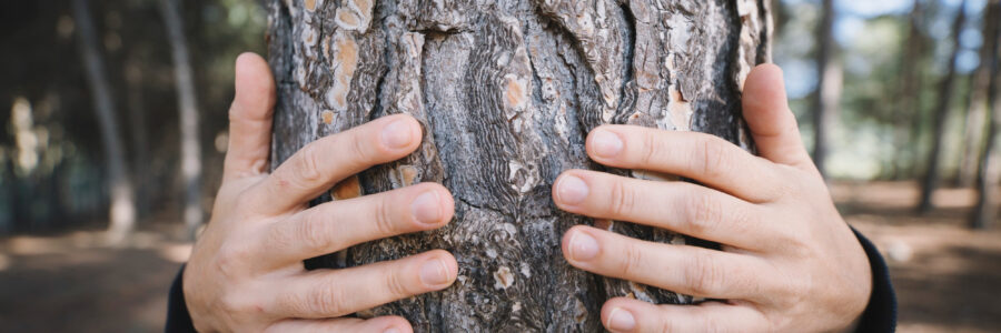 Préserver la nature pour protéger la santé des populations